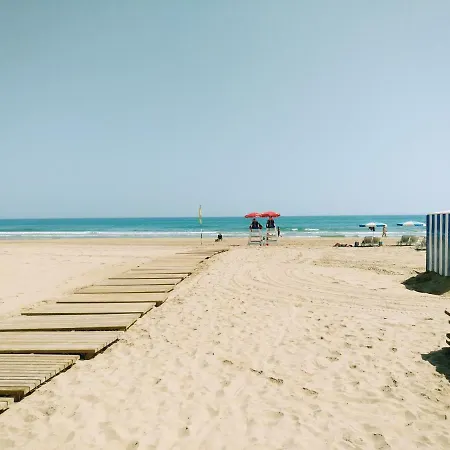 Jardin Ii Gandia